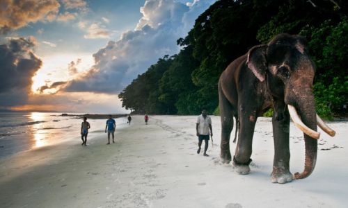 Andaman Tour Packages
