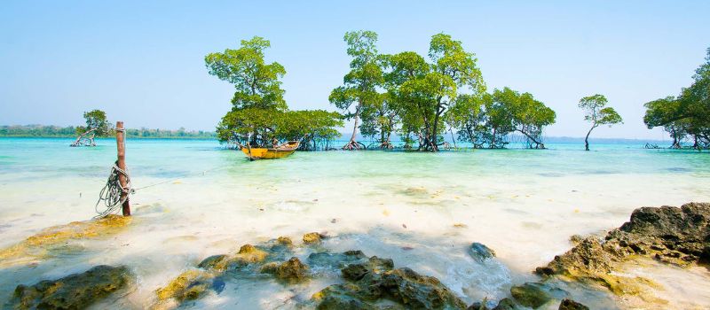  Andaman island Tour Package