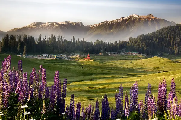 Kashmir Tour Packages From Delhi