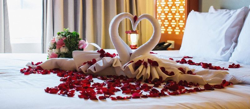 Manali Honeymoon Tour Packages From Delhi