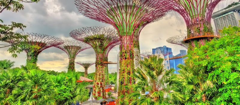 Singapore Tour Package