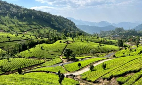 munnar