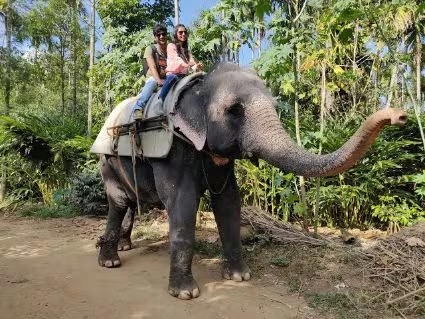 Elephant Ride in Thekkady
