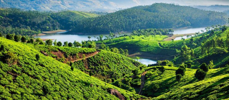 Kerala Tour Package