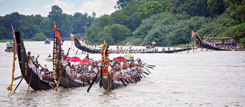  Kerala Wilderness Tour 