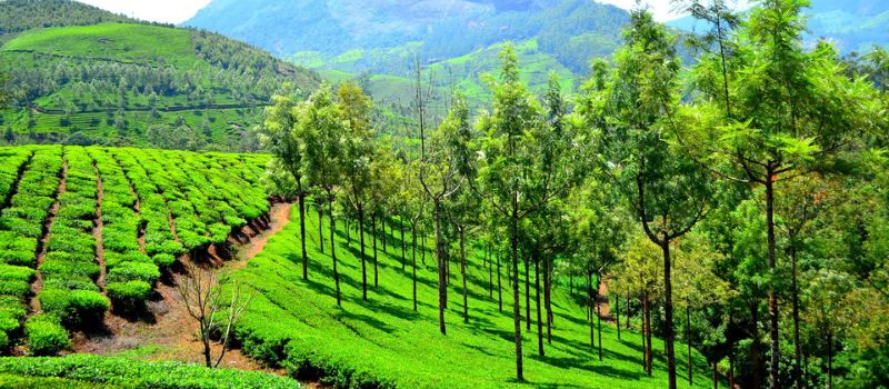 Complete Kerala Tour Package
