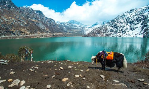 North East Tour Packages