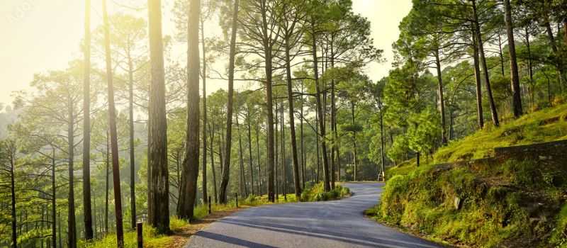  Uttaranchal Tour package 